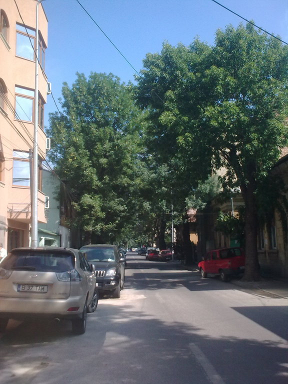 apartamente noi