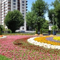 apartamente noi
