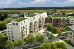 apartamente noi